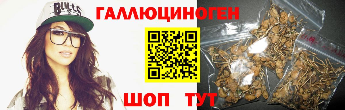 Галлюциногенные грибы Cubensis  Галлюциногенные грибы Magic Shrooms  как найти закладки  Вход с VPN  Воронеж 